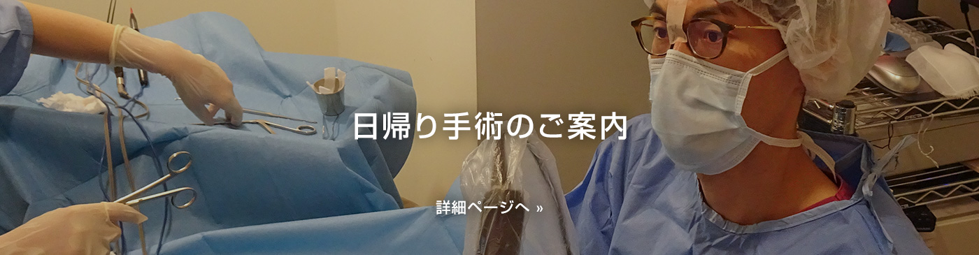 日帰り手術のご案内